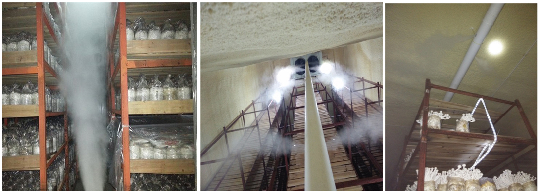 食用菌加濕機(jī)