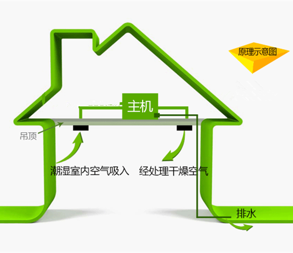 吊頂除濕機(jī)