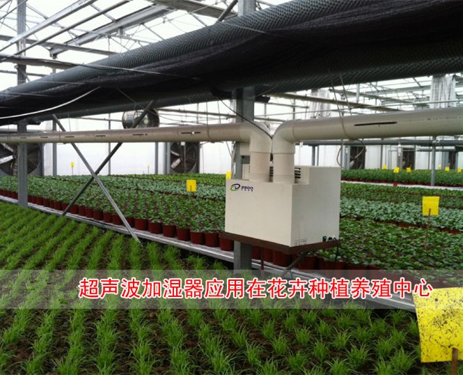 溫室大棚噴霧加濕器