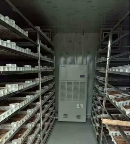 脫水蔬菜烘干機