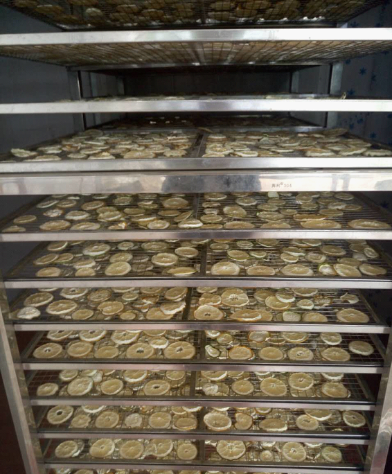 檸檬片烘干除濕機(jī)