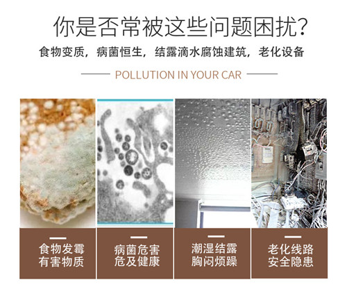 除潮防霉用除濕機