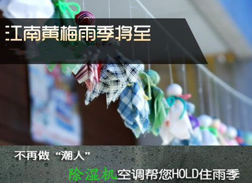 除潮防霉用除濕機