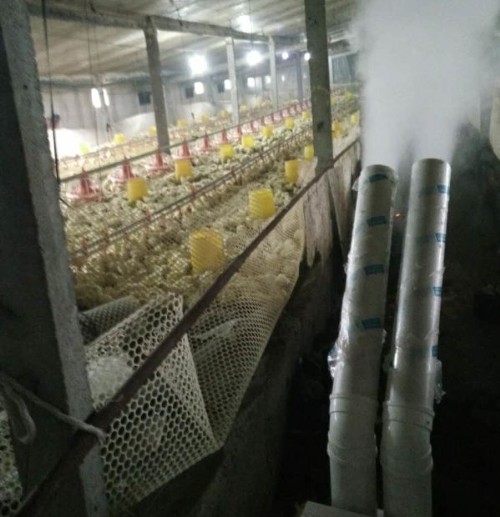 養(yǎng)殖場打藥霧化消毒機(jī)