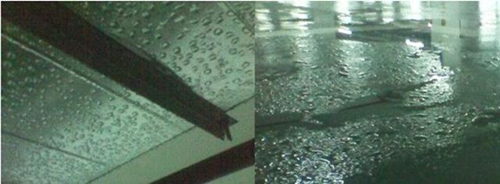 食品廠分揀車間除濕機