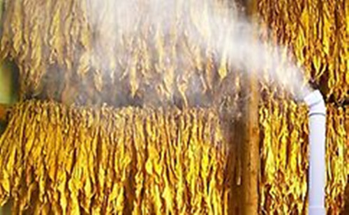 煙葉上潮機(jī)