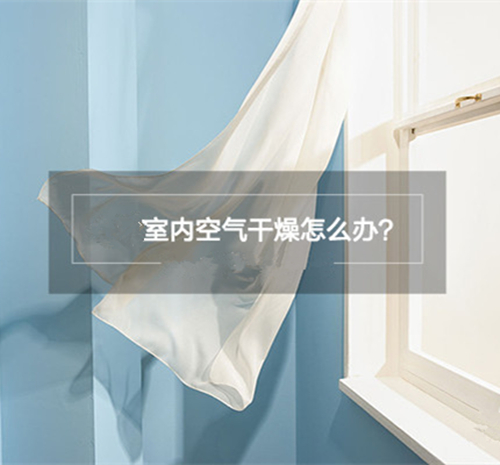 室內(nèi)干燥怎么辦?