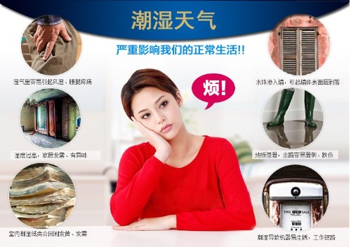 預防潮濕用除濕機