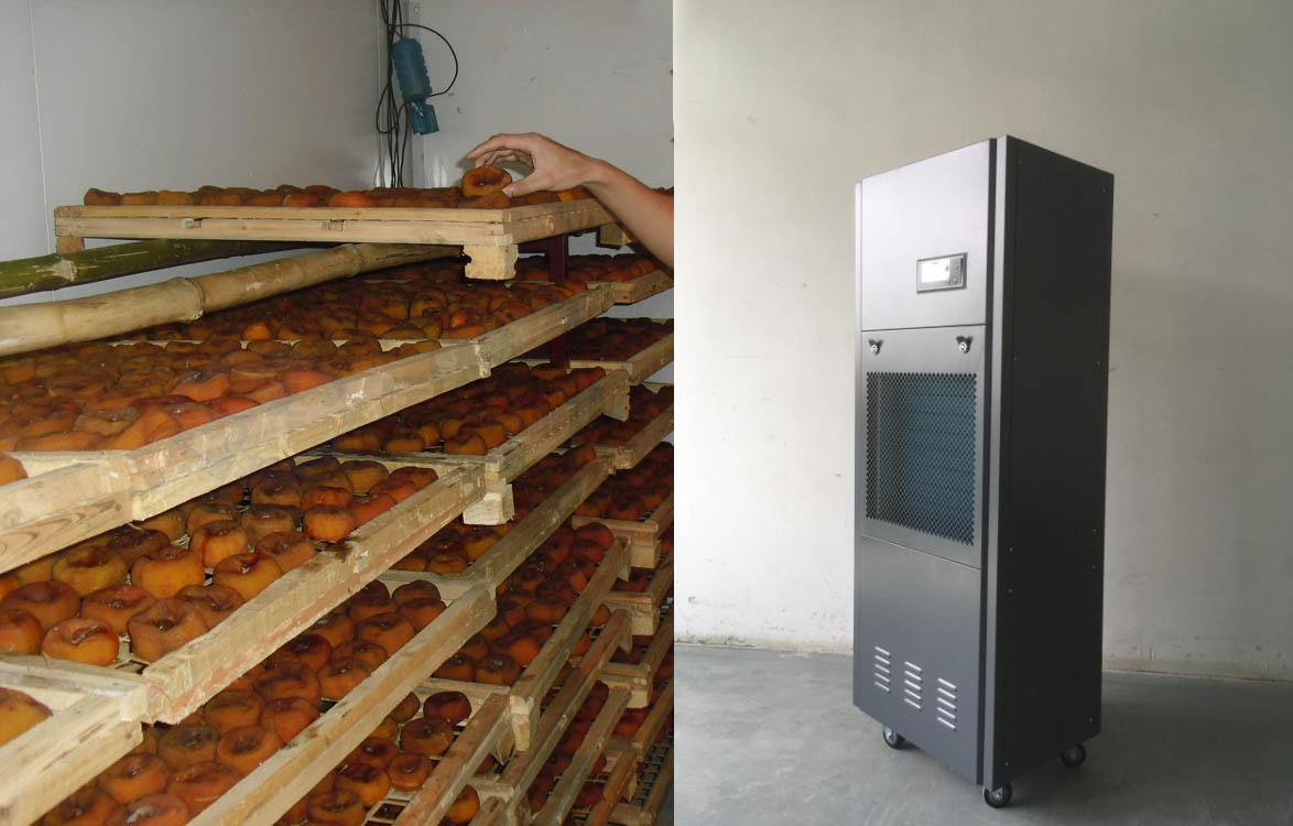 柿餅烘干機 柿餅烘干機