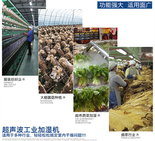 超聲波工業加濕機