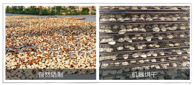 陳皮烘干機
