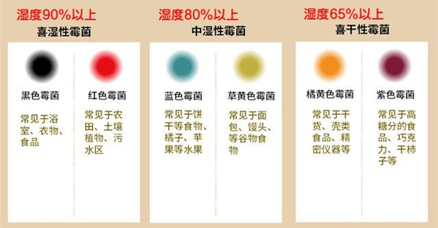 防潮除霉用除濕機