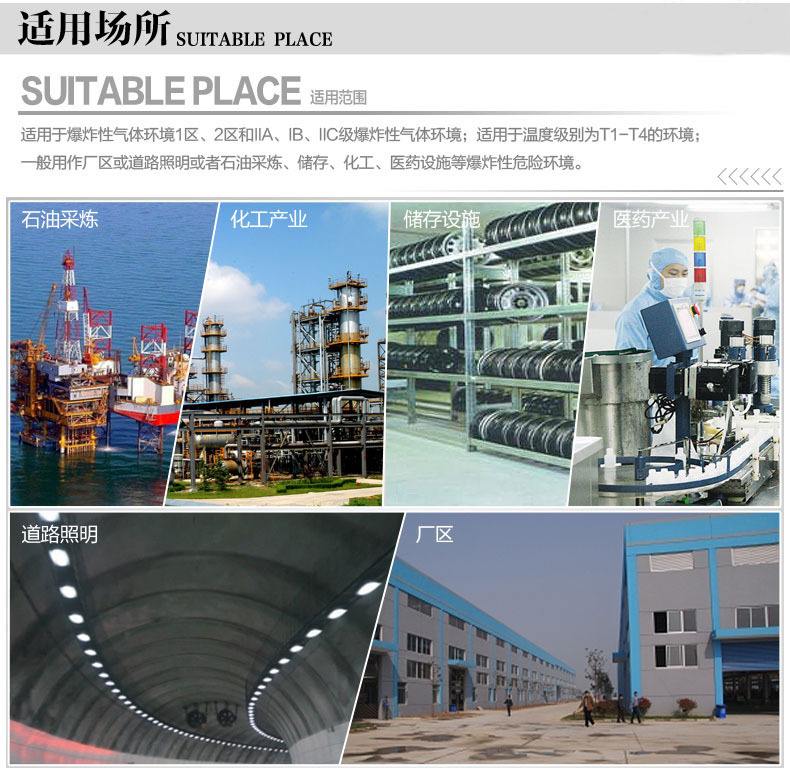 非標(biāo)防爆除濕機(jī)