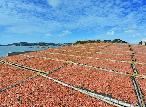 蝦仁蝦米蝦皮烘干機(jī)