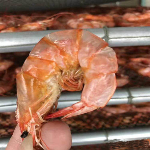 蝦仁蝦米蝦皮烘干機(jī)