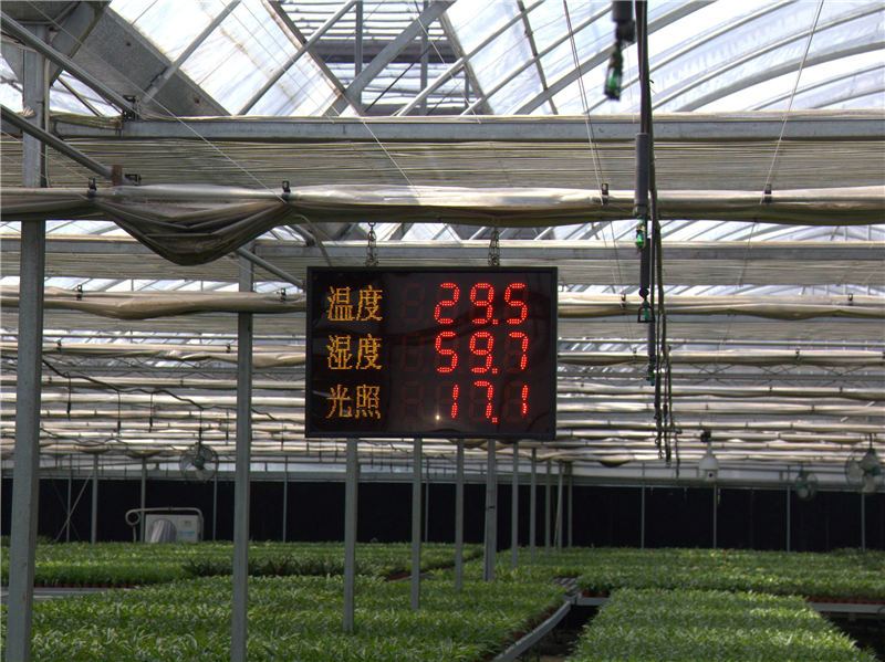 蘭花大棚加濕器