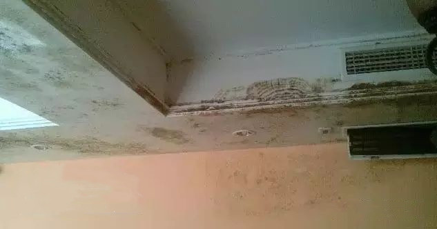 杭州正島電器有限公司