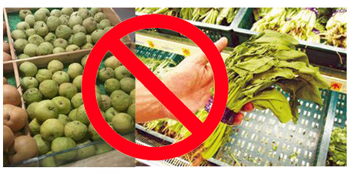 蔬菜噴霧加濕機