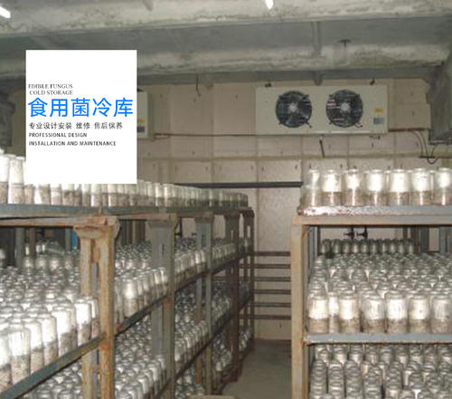 食用菌保鮮庫加濕器