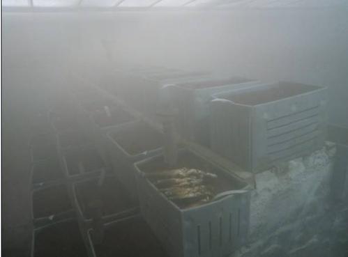 果蔬氣調庫增濕器