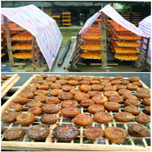 柿餅烘干除濕機