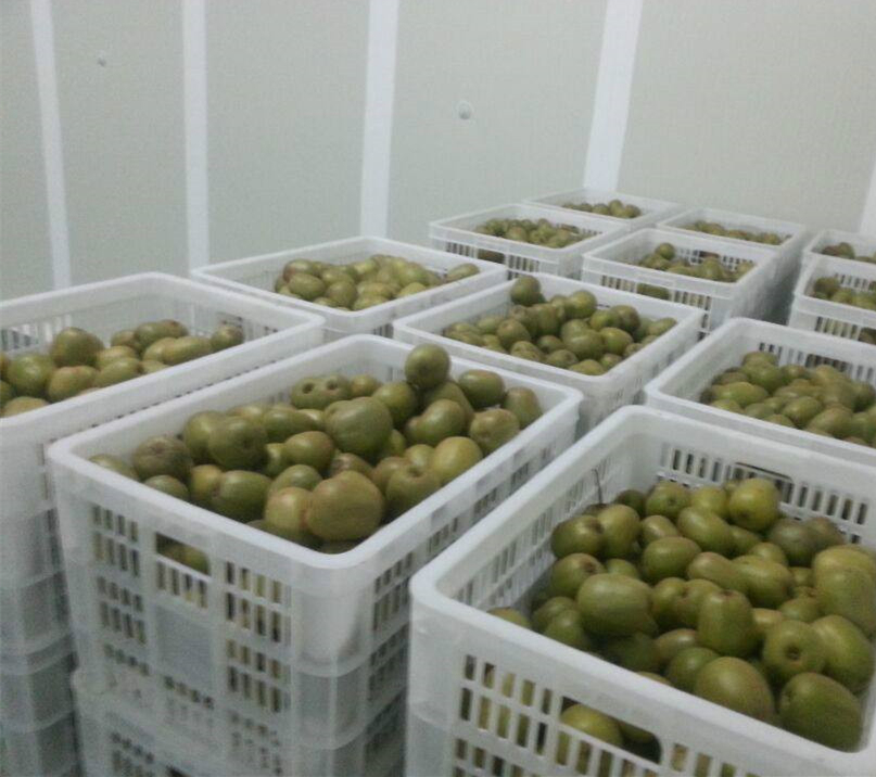 氣調(diào)保鮮庫(kù)加濕器