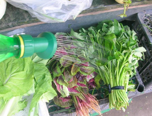 果蔬加濕器 果蔬加濕器