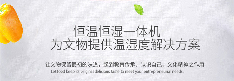 展柜恒溫恒濕機 展柜恒溫恒濕機