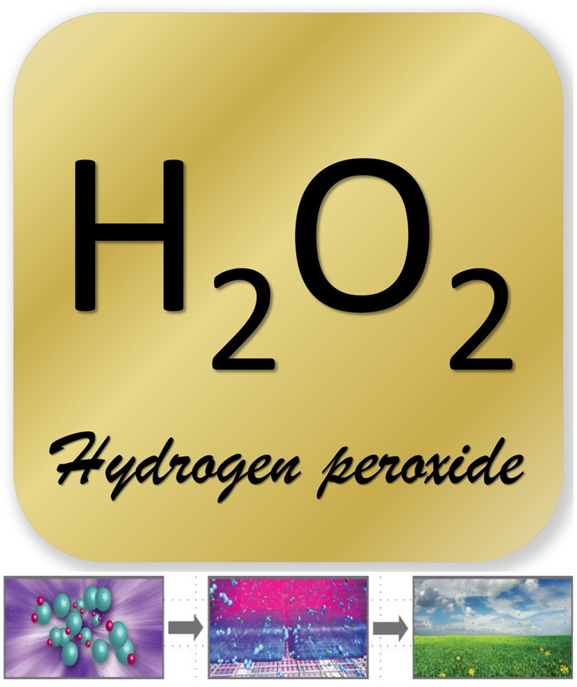 過氧化氫消毒機 過氧化氫消毒機