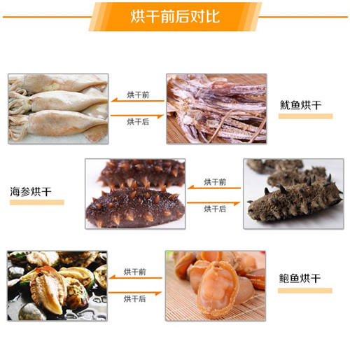 水產品烘干除濕機 水產品烘干除濕機