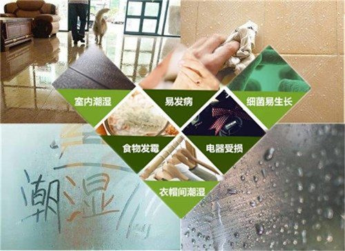 1619254321360398367.jpg 潮濕的危害.jpg