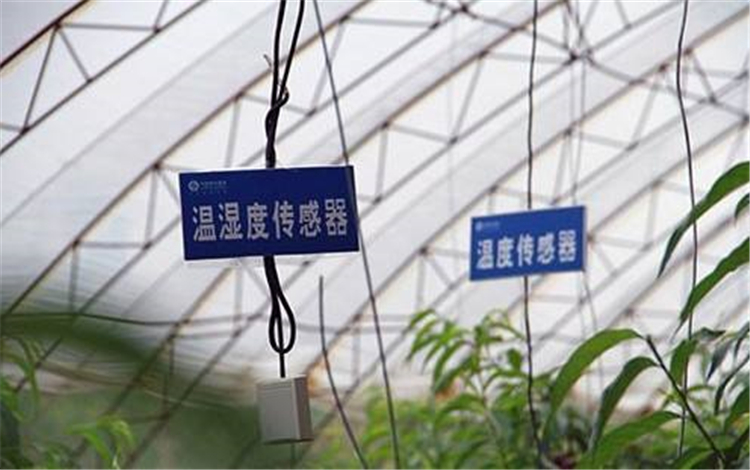 櫻桃大棚除濕機