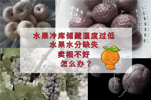 氣調(diào)保鮮庫加濕機(jī)