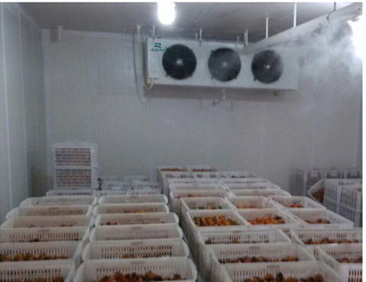 氣調(diào)保鮮庫加濕機(jī)