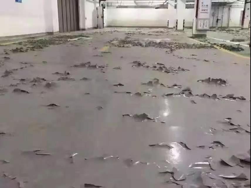 地坪施工除濕機 地坪施工除濕機