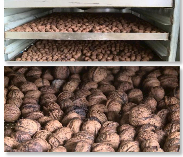 山核桃烘干除濕機.jpg 山核桃烘干除濕機.jpg