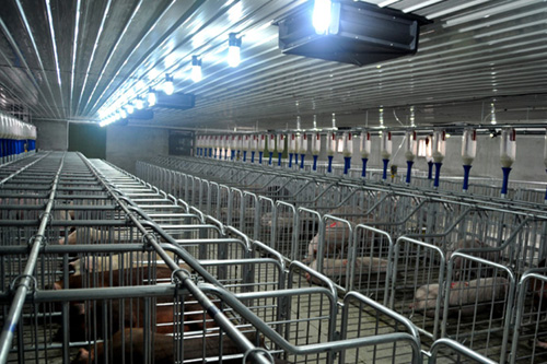 養(yǎng)殖場噴霧加濕器 養(yǎng)殖場噴霧加濕器