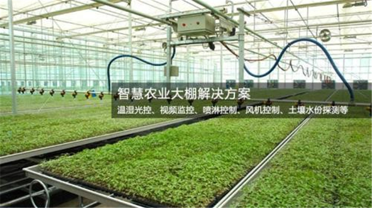 種植大棚除濕機 種植大棚除濕機