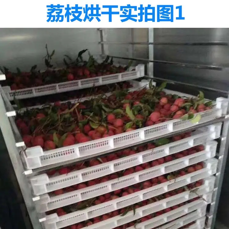 荔枝烘干機