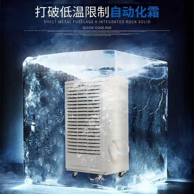工業(yè)低溫除濕機(jī)