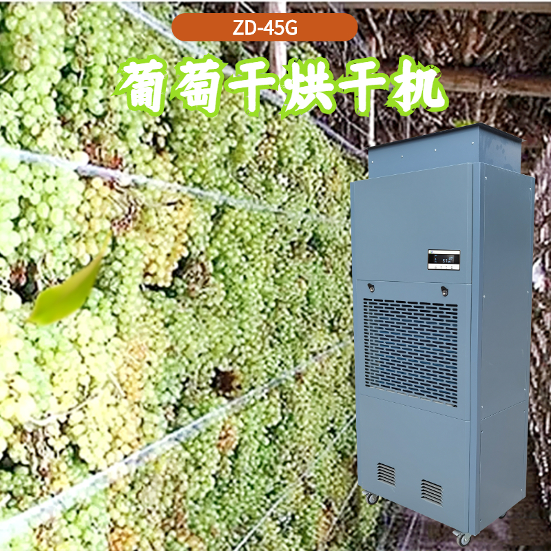 葡萄干烘干機 葡萄干烘干機