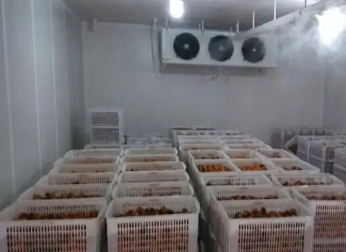 冷庫保鮮加濕系統