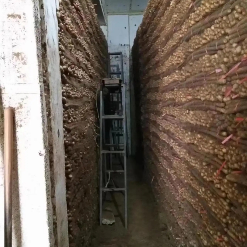 山藥保鮮庫加濕方法