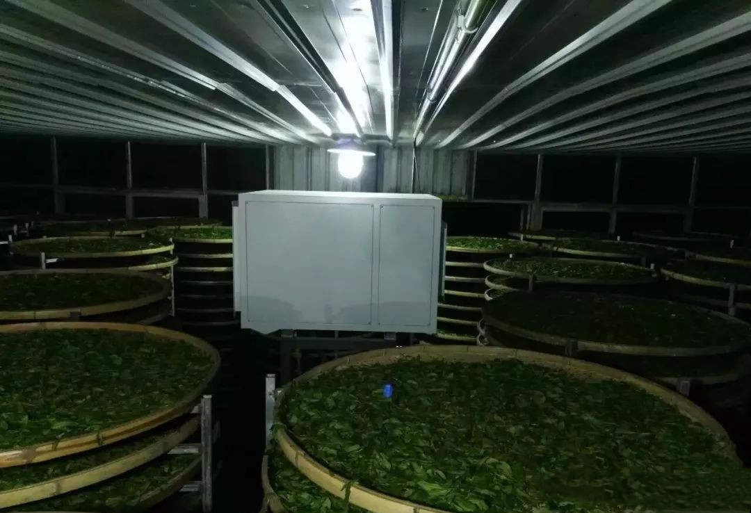 茶葉萎凋室除濕機 茶葉萎凋室除濕機