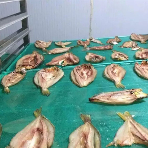 海產品烘干機 海產品烘干機