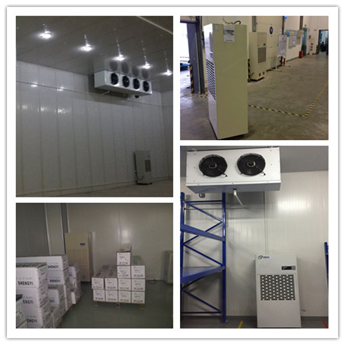 雪糕廠耐低溫除濕機 雪糕廠耐低溫除濕機