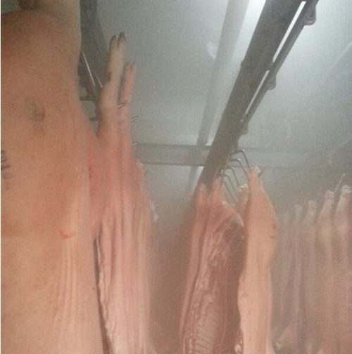 排酸間加濕器 排酸間加濕器