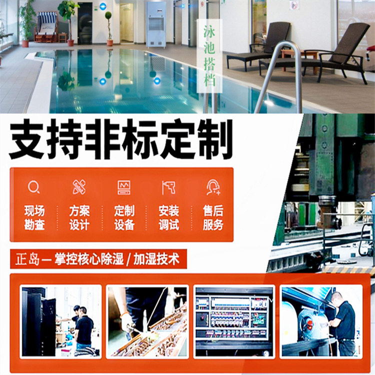 泳池除濕機 泳池除濕機