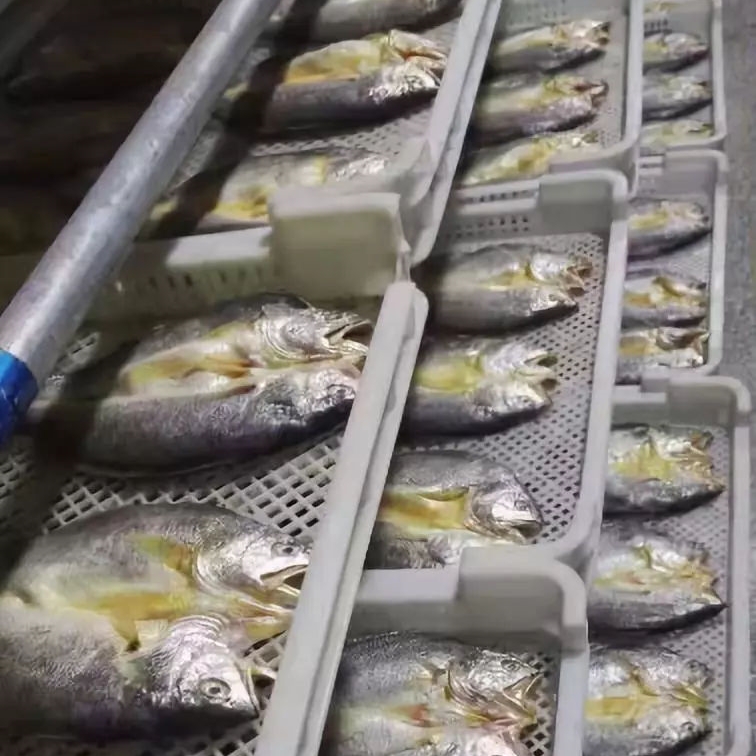 小黃魚如何快速烘干? 小黃魚如何快速烘干?