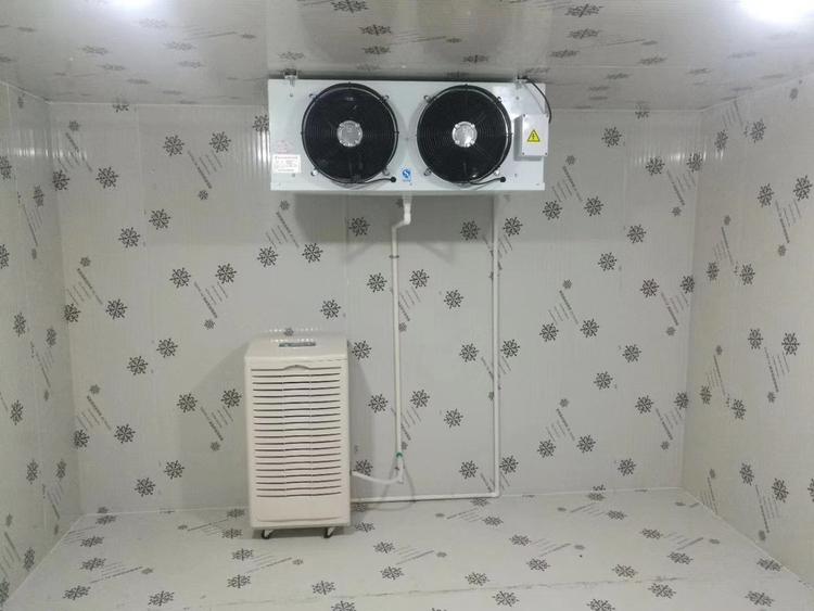 冷庫低溫除濕機(jī) 冷庫低溫除濕機(jī)